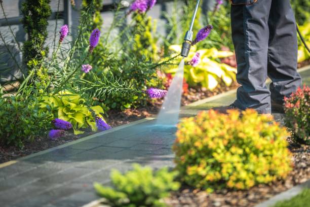 Best Spring Cleaning  in Clinton, NY
