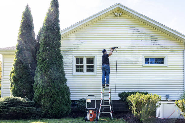 Best Fence Cleaning  in Clinton, NY